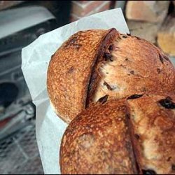 Kalamata Olive Bread recipe