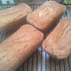 Amish Friendship Starter And Bread recipe