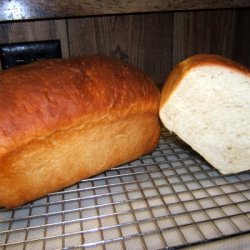 Master Bread Dough recipe