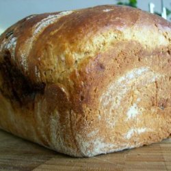 Nutritional Cinna-swirl Raisin Bread recipe