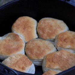 Dutch Oven Biscuits recipe