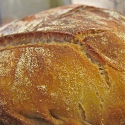 Cornmeal Bread With Mother Dough recipe