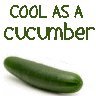 Amish Cucumber Salad recipe