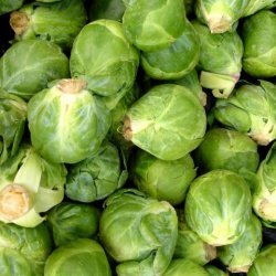 Marinated Brussels Sprouts recipe