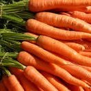 Grated Carrot And Orange Salad recipe