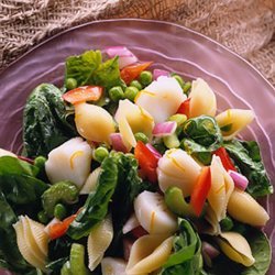 Pasta Salad With Sea Scallops recipe