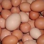 Herb Baked Eggs recipe