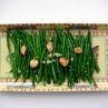Green Beans In Olive Oil recipe