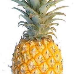 Pineapple Au Gratin recipe