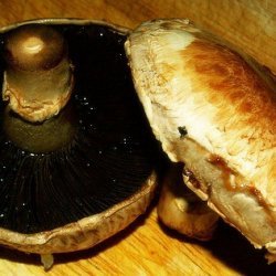 Grilled Balsamic Portobello Mushrooms recipe