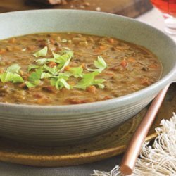 French Lentil Soup recipe