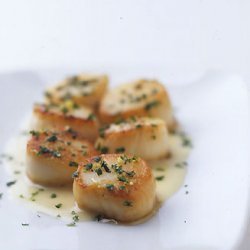 Sea Scallops with Cilantro Gremolata and Ginger Lime Beurre Blanc recipe