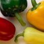 Grilled Peppers In Criolla Sauce recipe