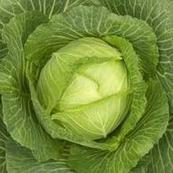 Sautéed Cabbage recipe