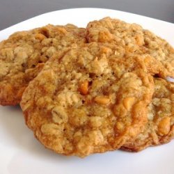 Best Oatmeal Scotchie Cookies recipe