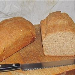 100 Percent Whole Wheat Bread recipe