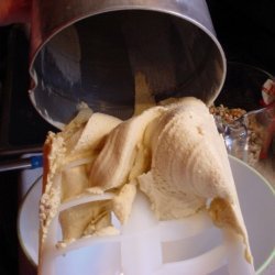 Cinnamon Ice Cream To Go With Apple Pie recipe