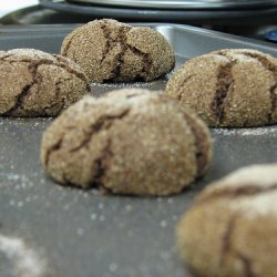 Nettys Dark Chocolate Snickerdoodles recipe