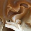 Chocolate Peanut Butter Oat Bars recipe