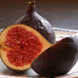 Fresh Fig Bars Not Newtons recipe