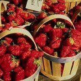 Fried Strawberries recipe