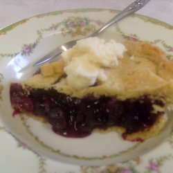 Double Crusted Blueberry Pie recipe