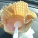 Peach Cobbler Fried Ice Cream recipe