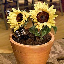 Dirt Cake Potted Plants recipe