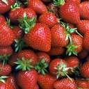 Sinfully Sensuous Strawberries recipe