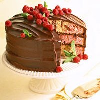 Marbled Chocolate-raspberry Cake recipe