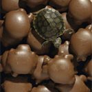 Millionaires Cookies Aka Chocolate Turtles recipe