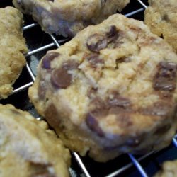Oats And Chocolate Shortbread recipe
