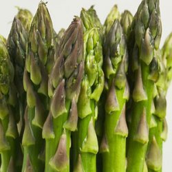 Best Ever Cream Of Asparagus Soup recipe