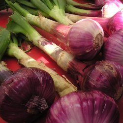Simple Red Onion Soup recipe