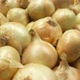 Vidalia Onion Soup recipe