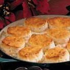 Turkey Biscuit Stew recipe