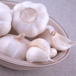 Cream Of Garlic Soup recipe