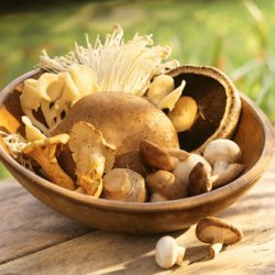 Exotic Mushroom Bisque recipe