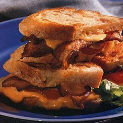 Grilled Cheddar, Tomato and Bacon Sandwiches recipe