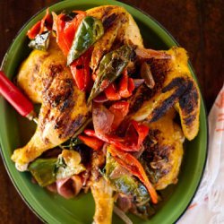 Chicken Under a Brick with Avocados and Chiles recipe