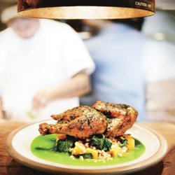 Skillet-Roasted Chicken with Farro and Herb Pistou recipe