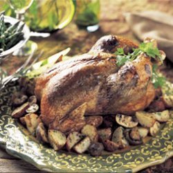Roast Chicken with Spicy Herbed Olivada recipe