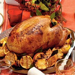Rotisserie Turkey recipe