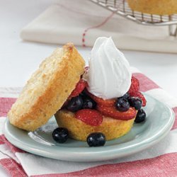 Vanilla Sponge Cakes with Fresh Berry Filling recipe