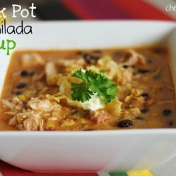 Crock Pot Chicken Enchilada Soup recipe