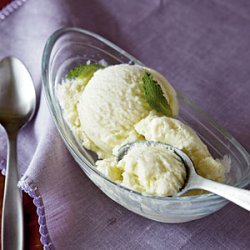 Fresh Mint Ice Cream recipe