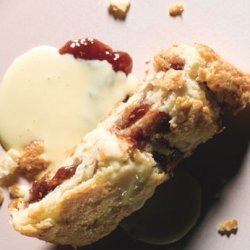 Rhubarb and Raspberry Jam Roly-Poly with Vanilla Custard Sauce recipe