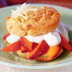 Caramelized-Nectarine and Ginger Shortcakes with Sour Cream recipe