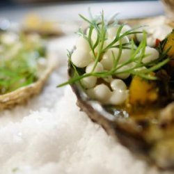 Tandoori Oysters recipe
