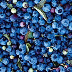 Blueberry-Lemon Sorbet recipe